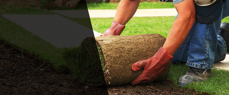 West Alexandria Landscapers